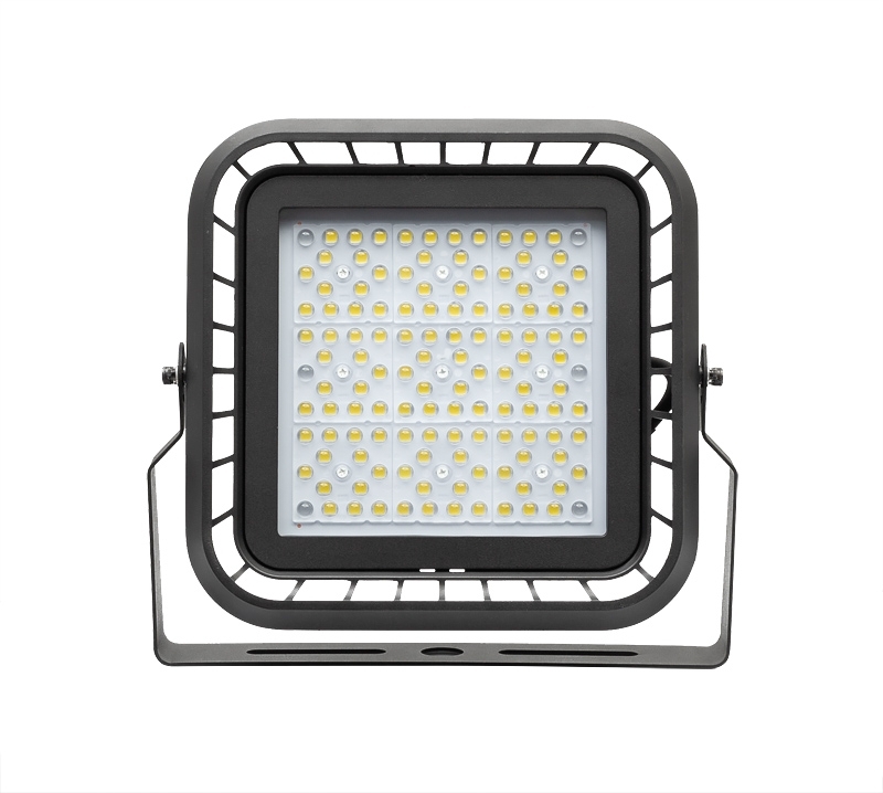 PROIECTOR LED PROFESIONAL 100W DIMABIL 1-10 V DC 5000K IP666